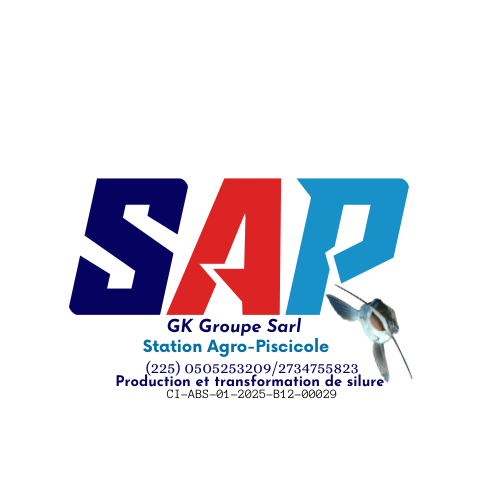 SAP GK Groupe